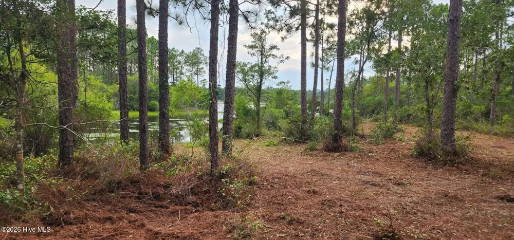 4 Pike Road Boiling Spring Lakes, NC 28461