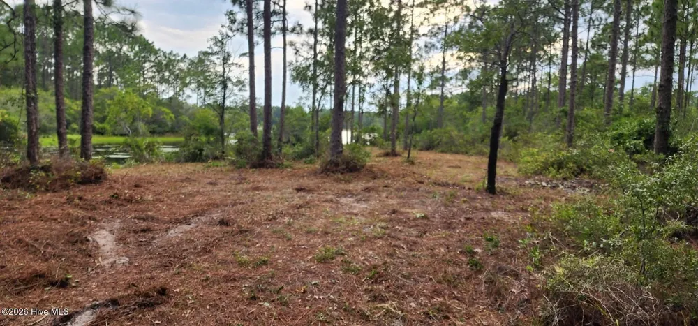 4 Pike Road Boiling Spring Lakes, NC 28461