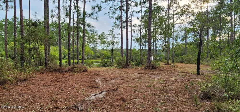 4 Pike Road Boiling Spring Lakes, NC 28461