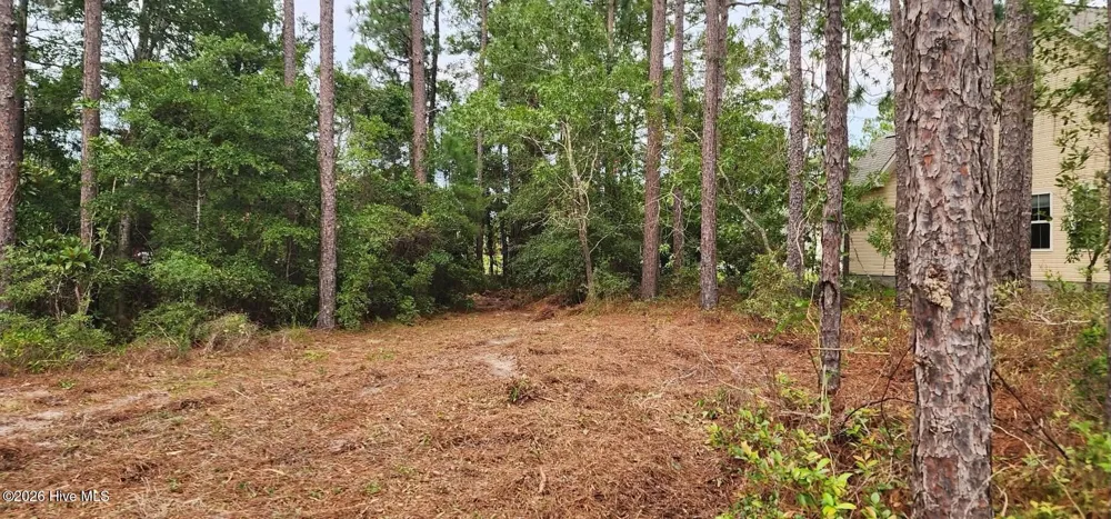 4 Pike Road Boiling Spring Lakes, NC 28461
