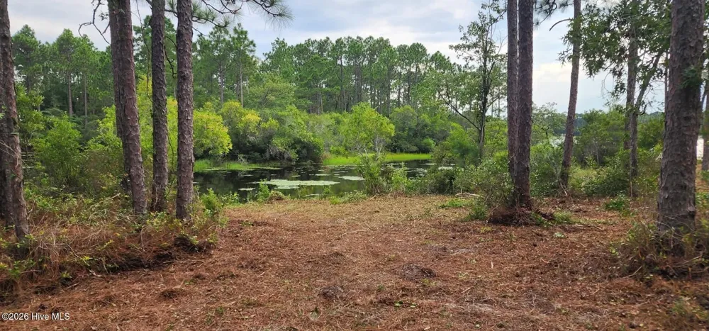 4 Pike Road Boiling Spring Lakes, NC 28461