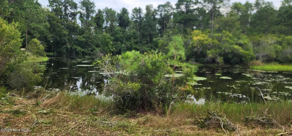 4 Pike Road Boiling Spring Lakes, NC 28461