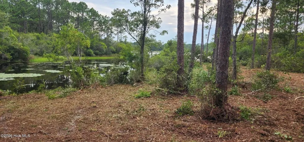 4 Pike Road Boiling Spring Lakes, NC 28461