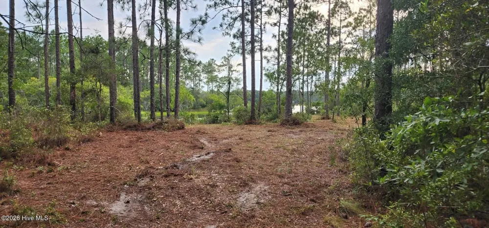 4 Pike Road Boiling Spring Lakes, NC 28461