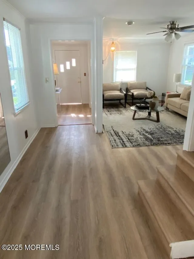 1223 Briarwood Road Belmar, NJ 07719