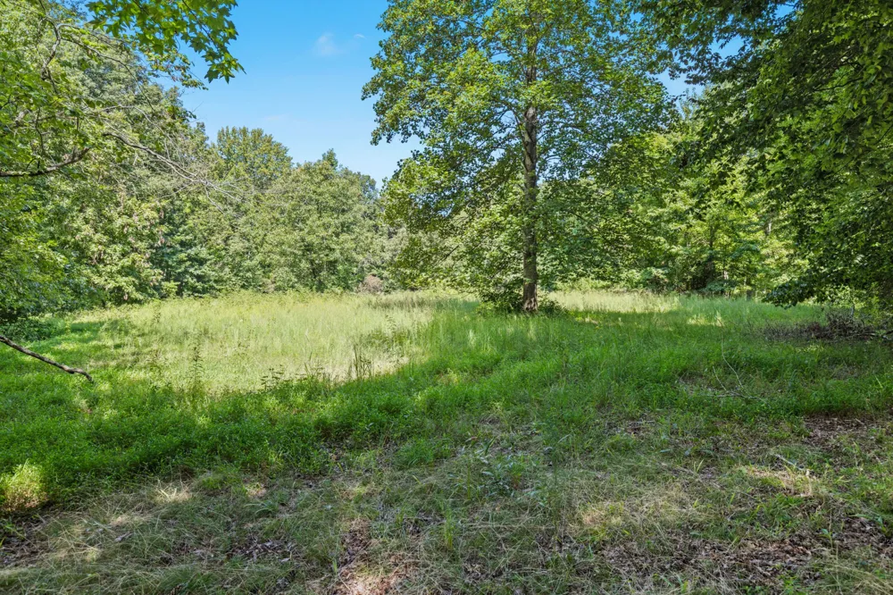 1320 Old Clarksville Pike Pleasant View, TN 37146