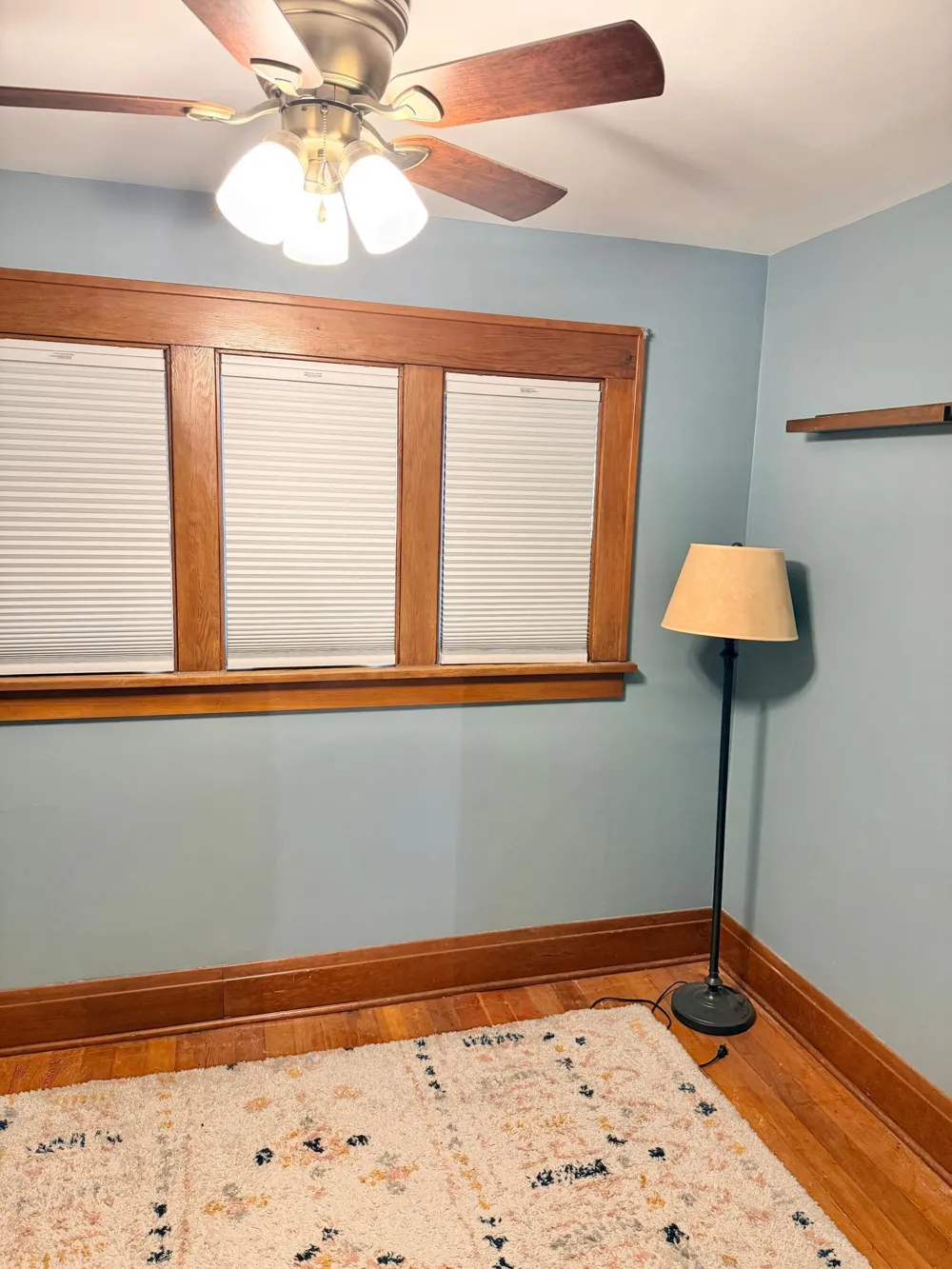 608 Barker Street Hartland, MN 56042