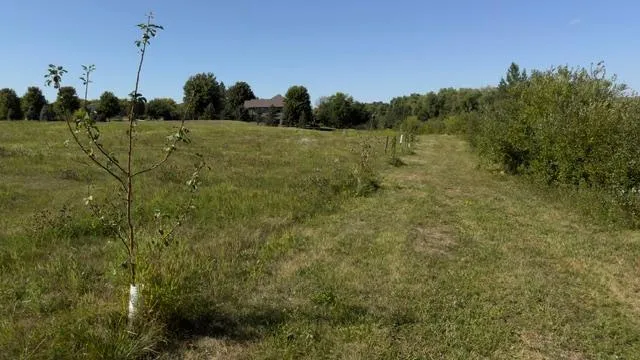 25XXX Newport Avenue New Prague, MN 56071