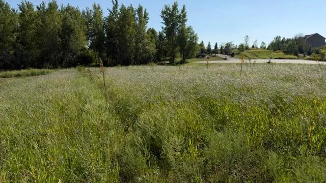 25XXX Newport Avenue New Prague, MN 56071