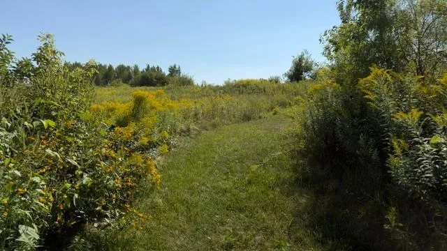 25XXX Newport Avenue New Prague, MN 56071