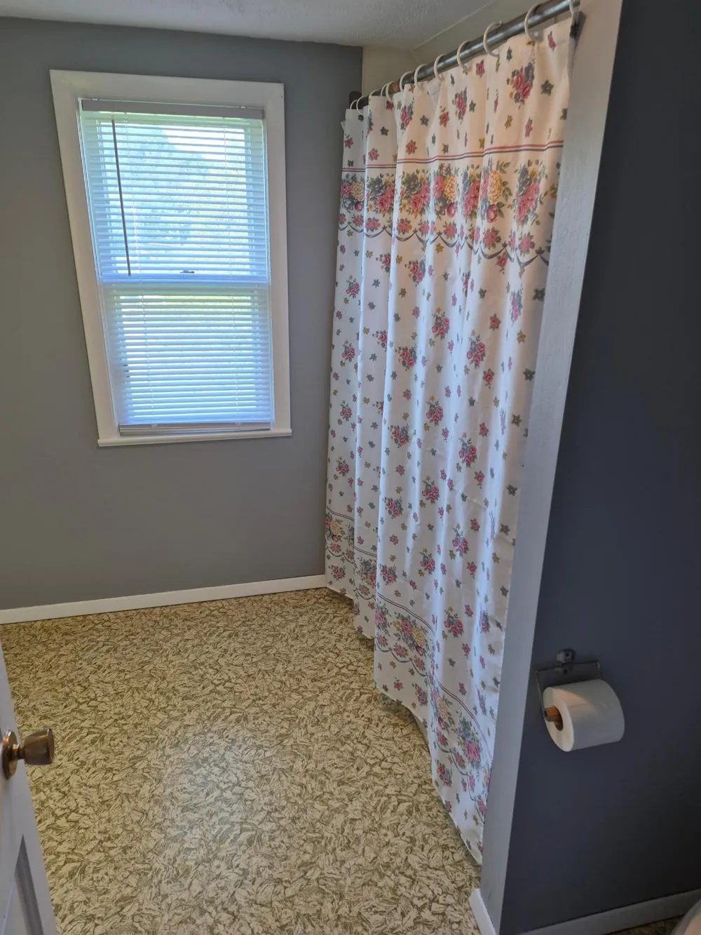 304 Terrace Street Lanesboro, MN 55949