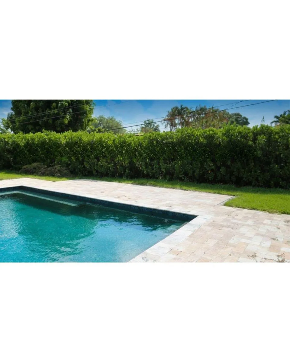 2801 NE 2nd Avenue Wilton Manors, FL 33334