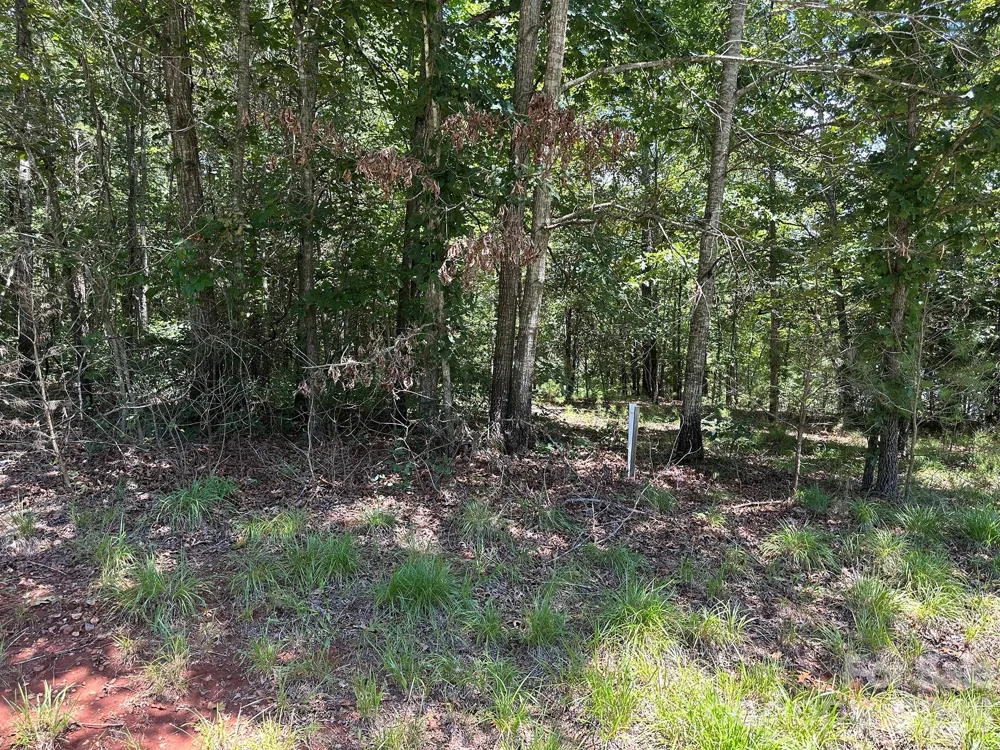 547 Stewart Rock Road Stony Point, NC 28678