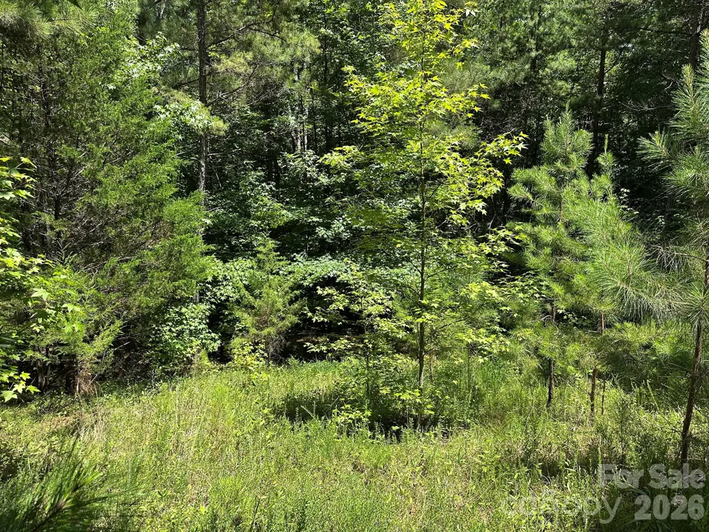 547 Stewart Rock Road Stony Point, NC 28678