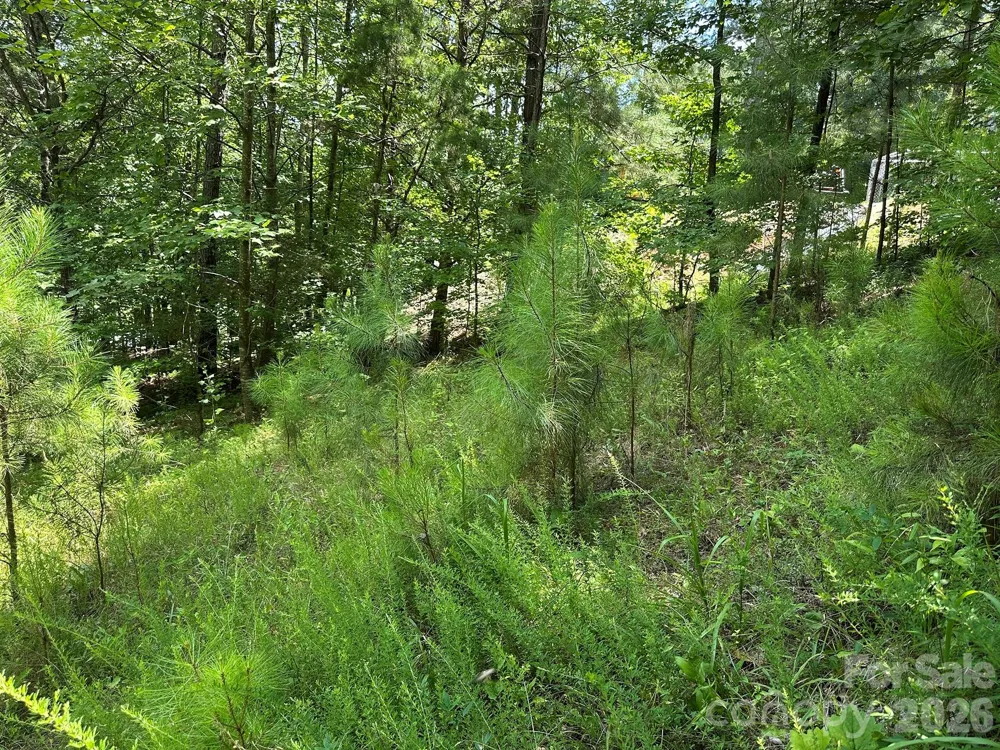 547 Stewart Rock Road Stony Point, NC 28678