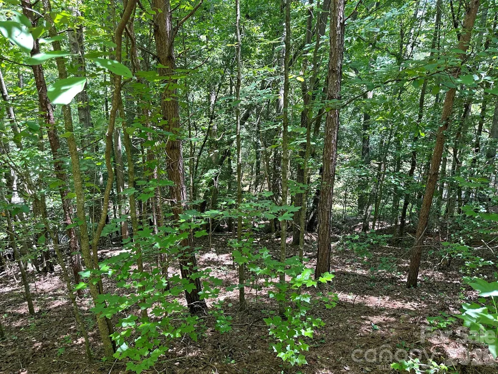 547 Stewart Rock Road Stony Point, NC 28678