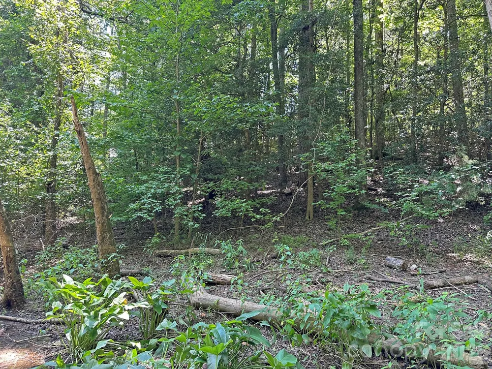 547 Stewart Rock Road Stony Point, NC 28678