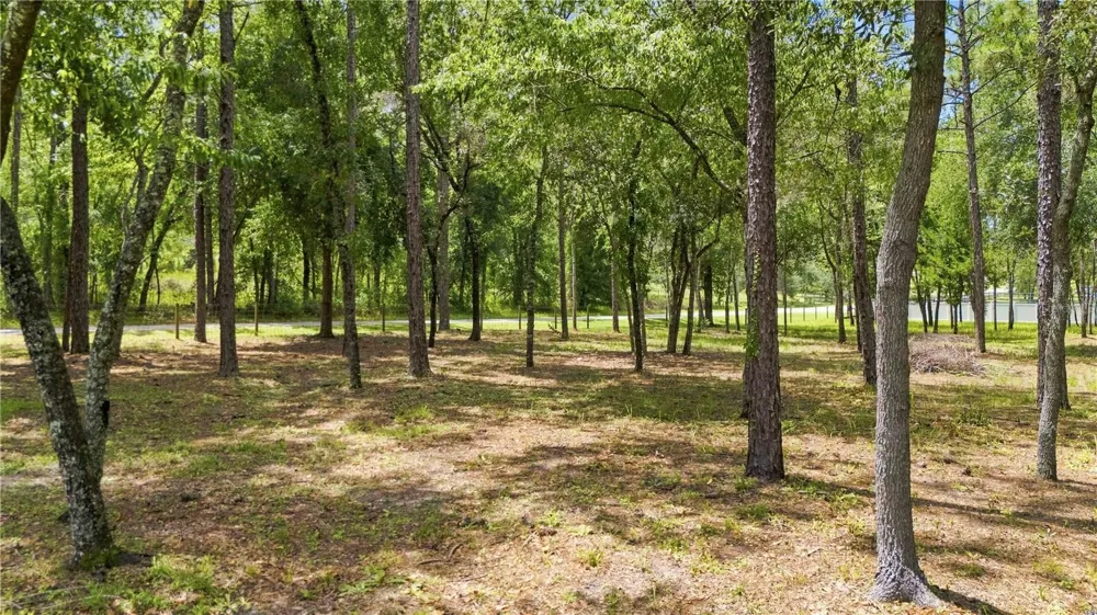 14313 HIGHGROVE ROAD Brooksville, FL 34609