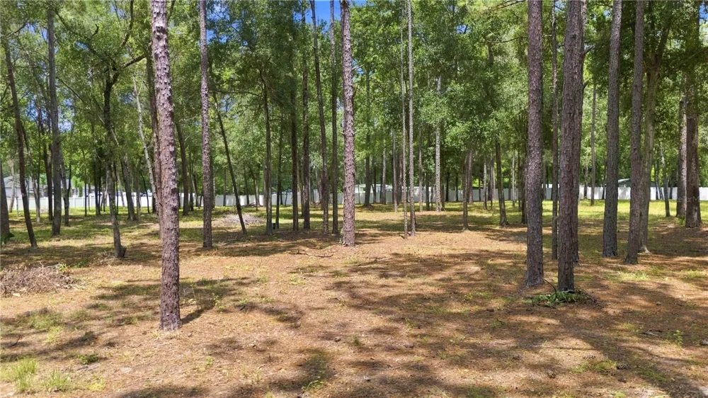 14313 HIGHGROVE ROAD Brooksville, FL 34609