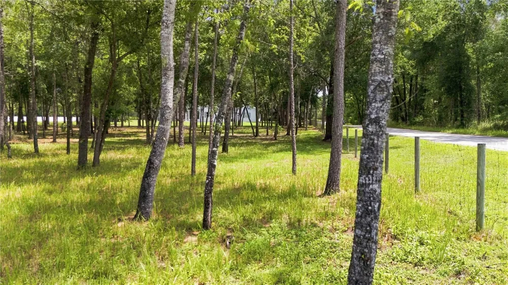 14313 HIGHGROVE ROAD Brooksville, FL 34609
