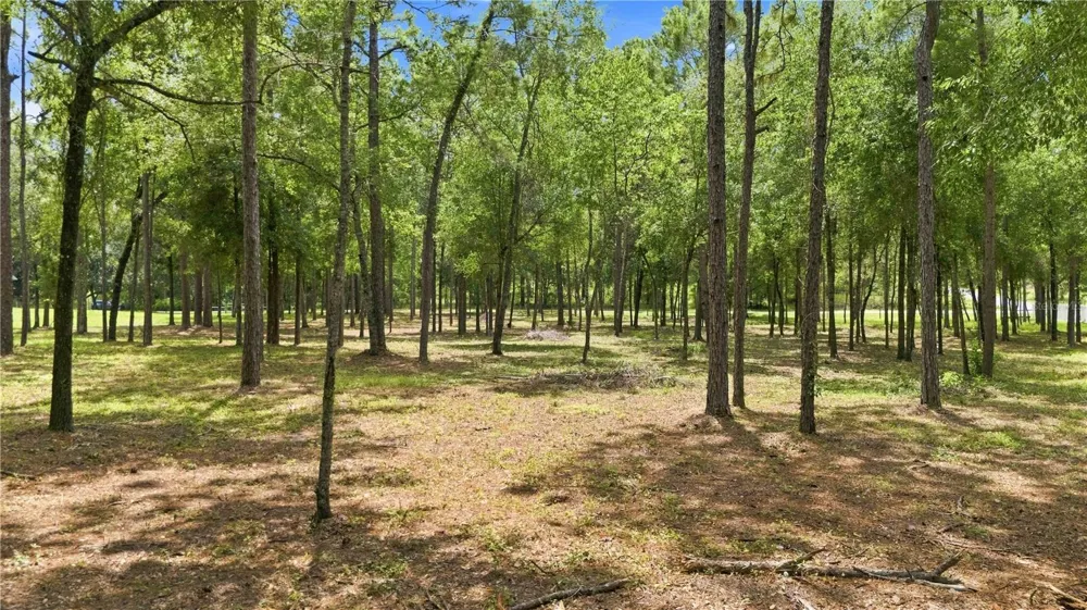 14313 HIGHGROVE ROAD Brooksville, FL 34609