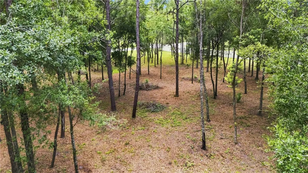 14313 HIGHGROVE ROAD Brooksville, FL 34609