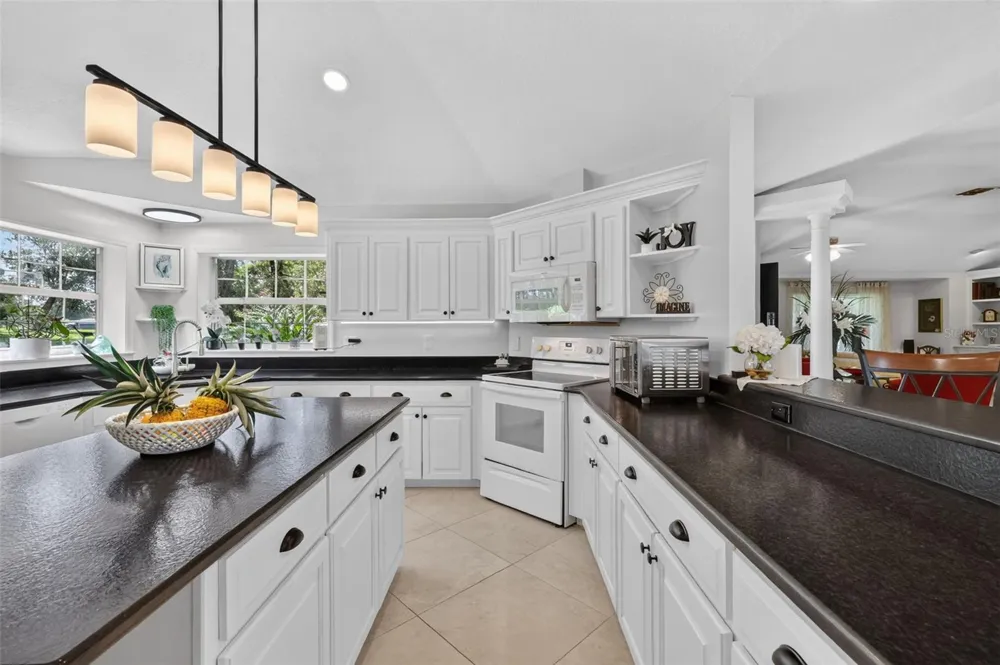 35350 COUNTY ROAD 439 Eustis, FL 32736