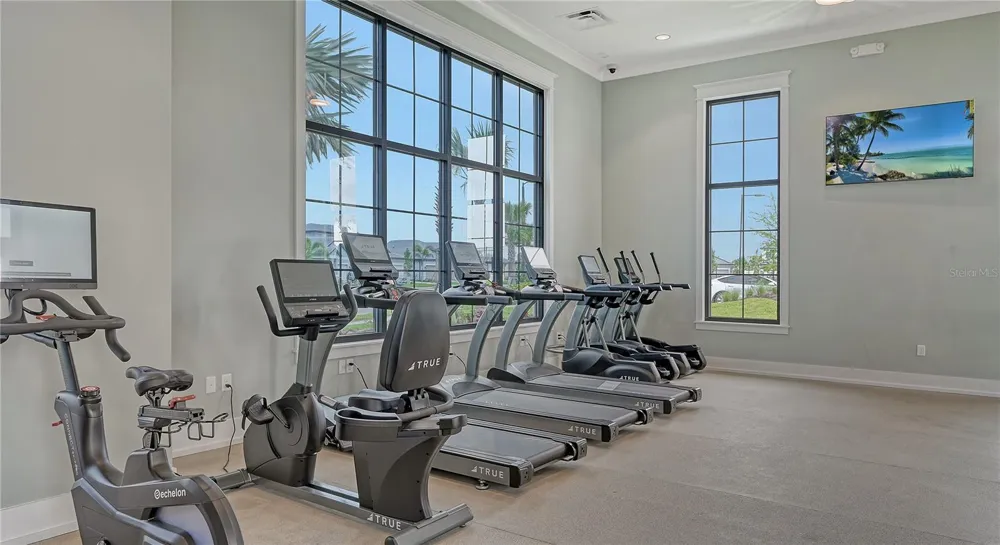 17675 SAVORY MIST CIRCLE Lakewood Ranch, FL 34211