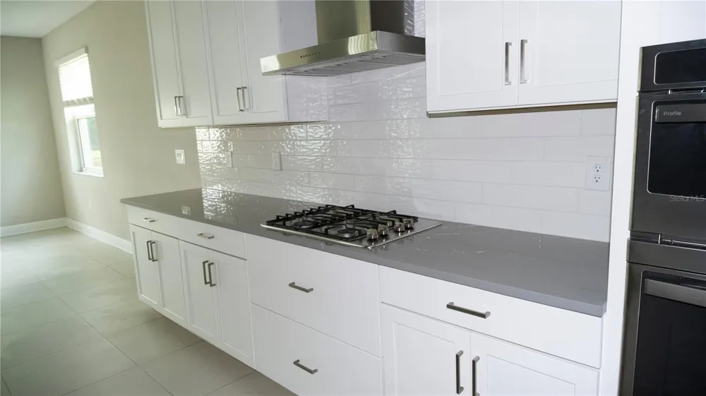 17675 SAVORY MIST CIRCLE Lakewood Ranch, FL 34211