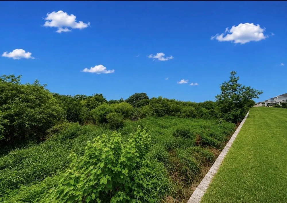 11967 STONE PINE STREET Riverview, FL 33569
