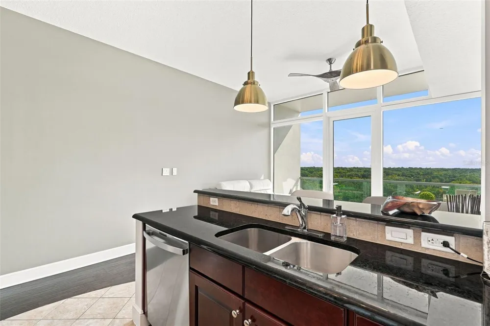 101 S EOLA DRIVE #905 Orlando, FL 32801