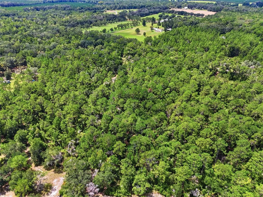 00 SW CENTERVILLE AVENUE Fort White, FL 32038