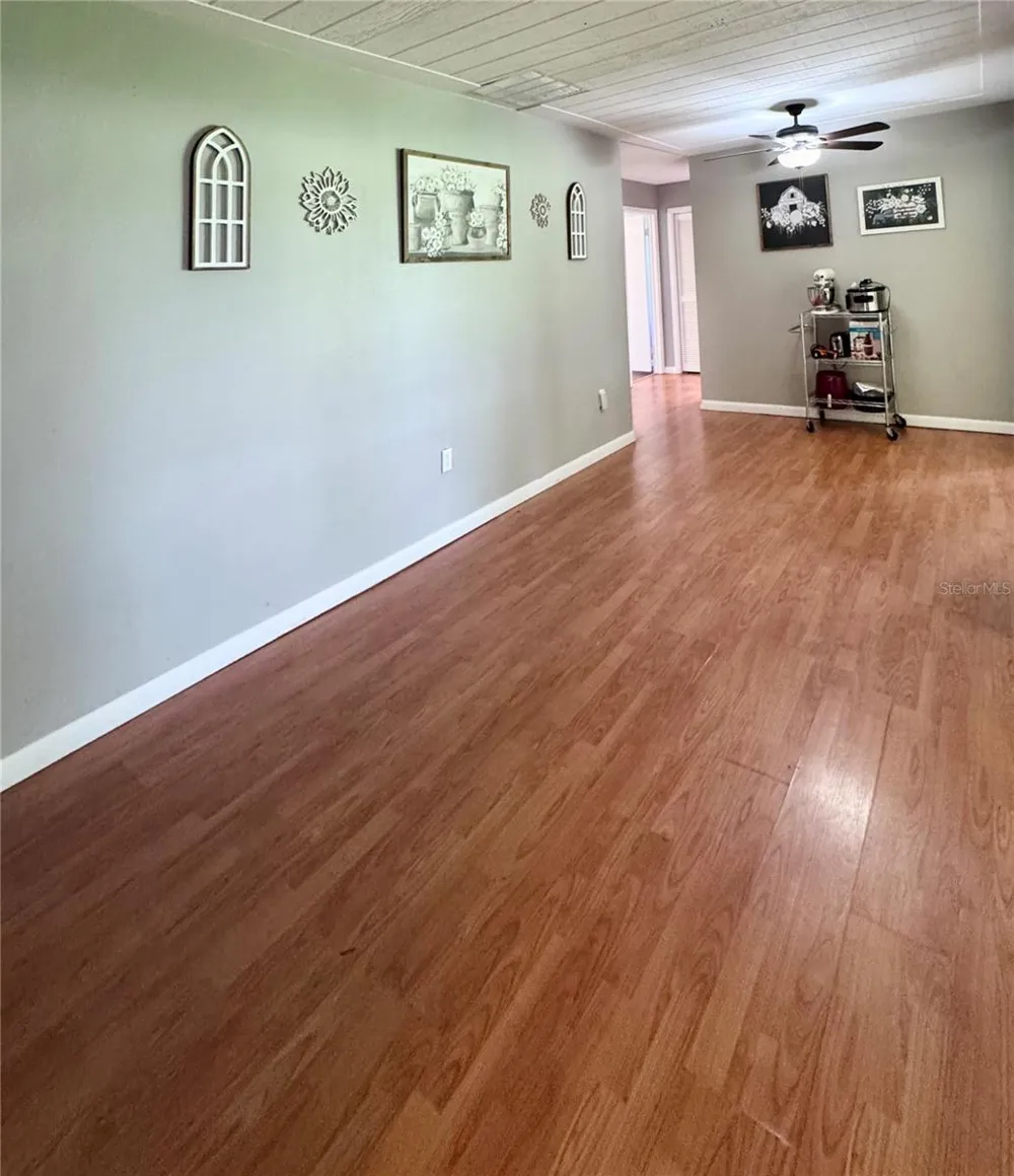 6088 FAIRWAY DRIVE Ridge Manor, FL 33523