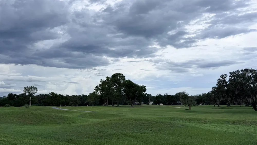 6088 FAIRWAY DRIVE Ridge Manor, FL 33523