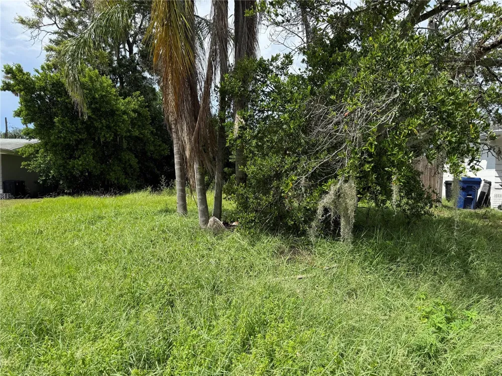 3621 ANNONA COURT Holiday, FL 34691