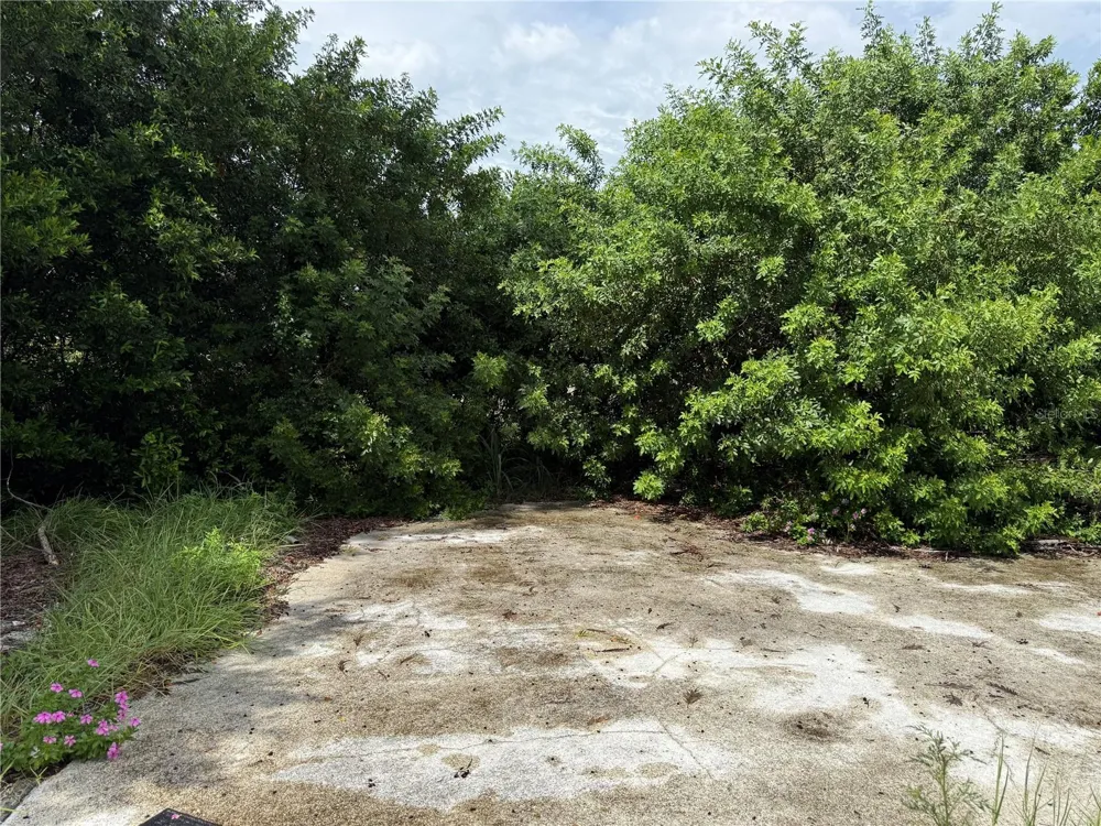 3621 ANNONA COURT Holiday, FL 34691