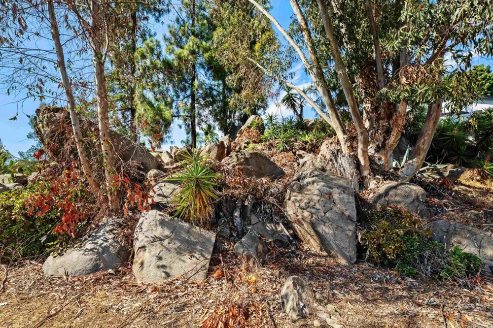 9209 Lakeview Terrace Lakeside, CA 92040