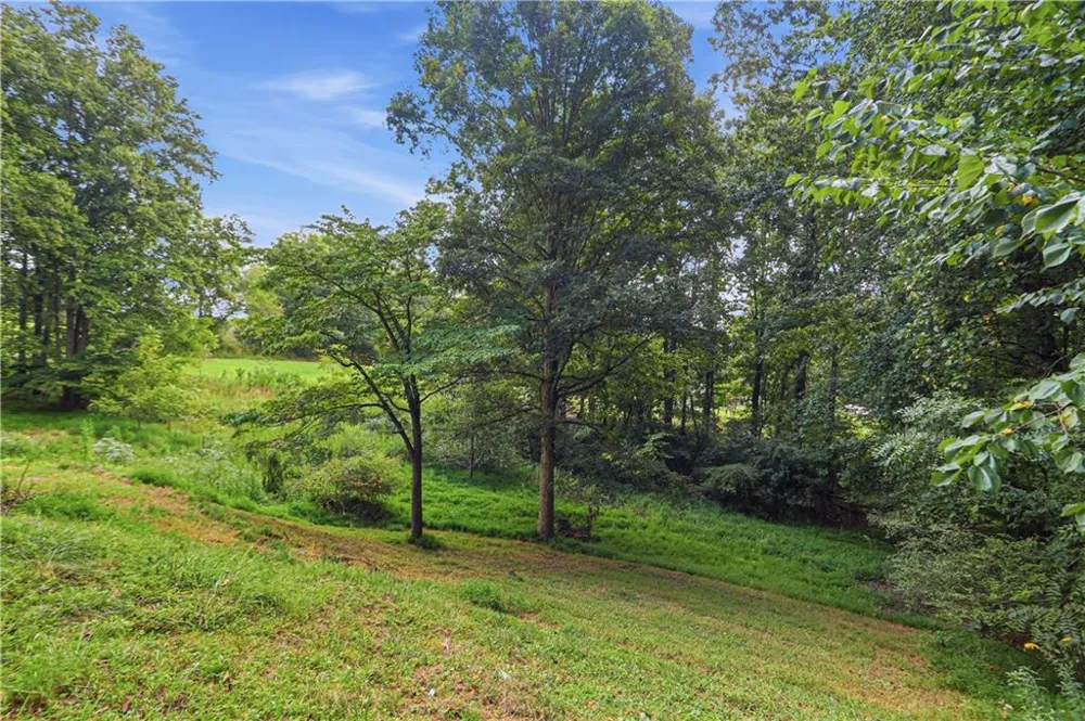 1336 Fate Conn Road Canton, GA 30114