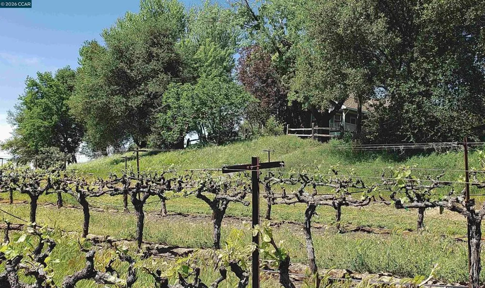 10580 Dickson Road Plymouth, CA 95669