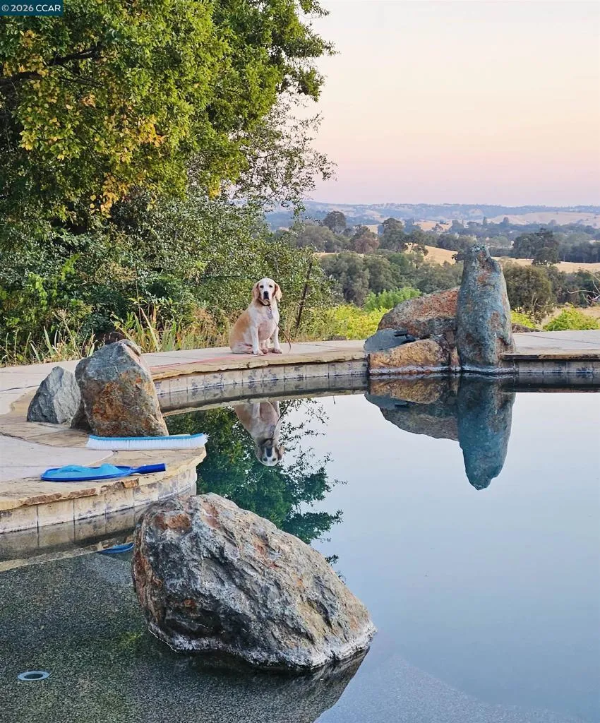 10580 Dickson Road Plymouth, CA 95669