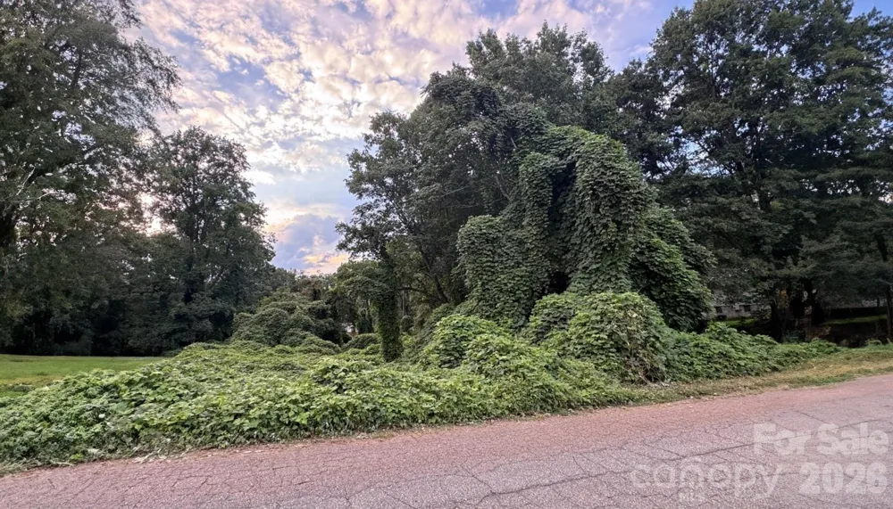 0 Wisconsin Street Spindale, NC 28160