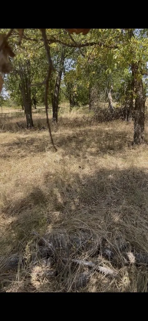 103313 Hillside Circle
