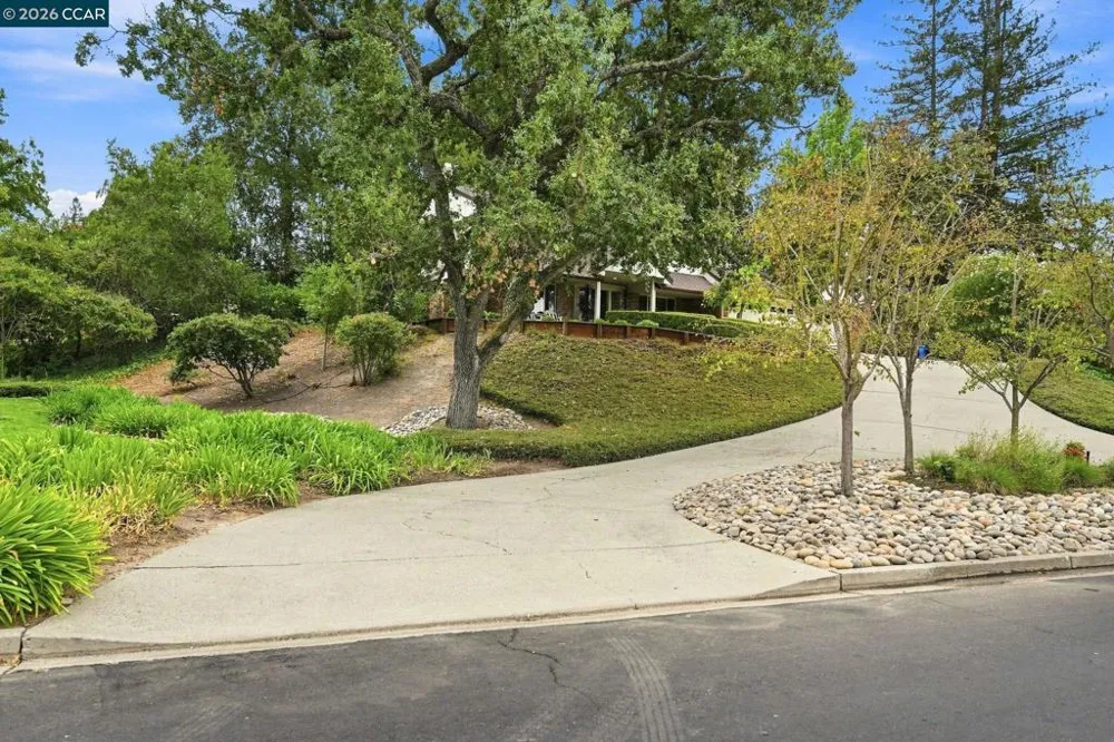 2516 Roundhill Dr Alamo, CA 94507