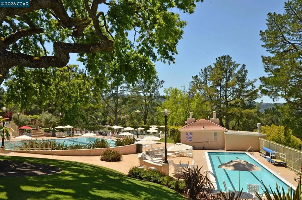 2516 Roundhill Dr Alamo, CA 94507