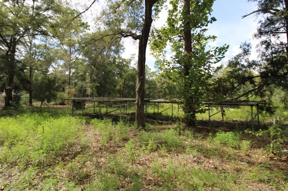 9599 NW 56TH LANE Chiefland, FL 32626