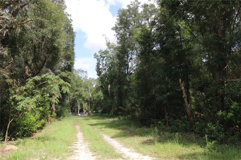 9599 NW 56TH LANE Chiefland, FL 32626