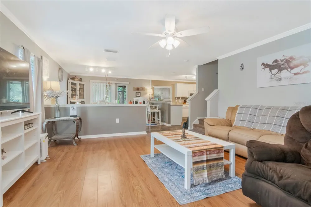 19604 TIMBERBLUFF DRIVE Land O Lakes, FL 34638