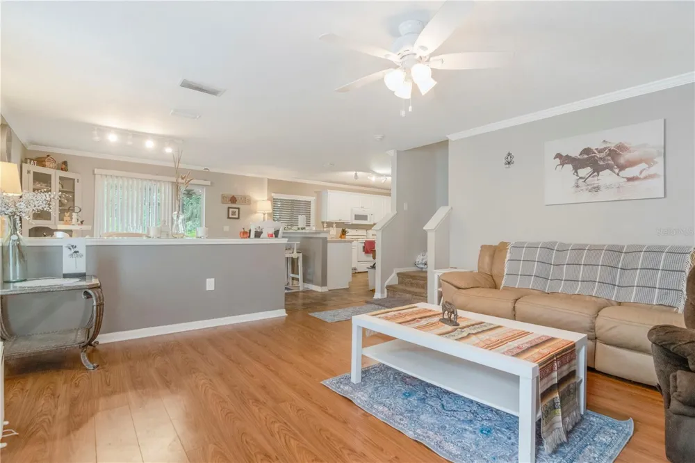 19604 TIMBERBLUFF DRIVE Land O Lakes, FL 34638