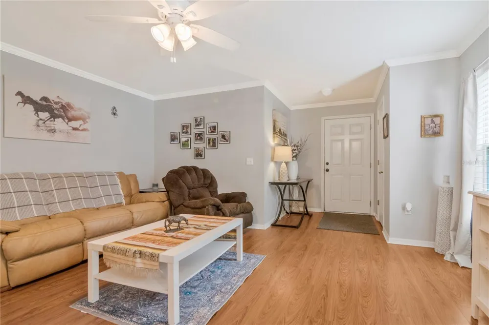 19604 TIMBERBLUFF DRIVE Land O Lakes, FL 34638