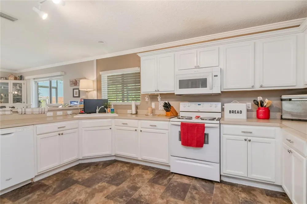 19604 TIMBERBLUFF DRIVE Land O Lakes, FL 34638